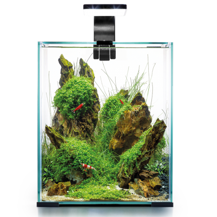 Nano Aquarium - SHRIMP SET